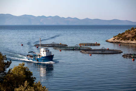 Fishing boat in fish farm in early morning on island Brac in Croatiaの写真素材