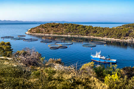 Fishing boat in fish farm in early morning on island Brac in Croatia