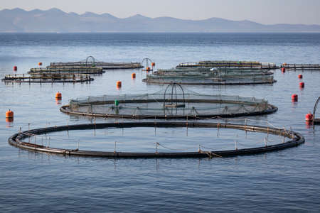 Rounded cages for breeding of sea bream and sea bass on fish farming in south east of island Brac in Croatiaの写真素材
