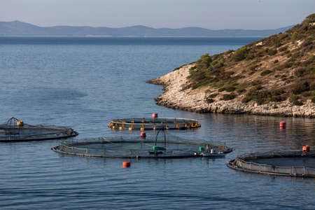 Rounded cages for breeding of sea bream and sea bass on fish farming in south east of island Brac in Croatiaの写真素材