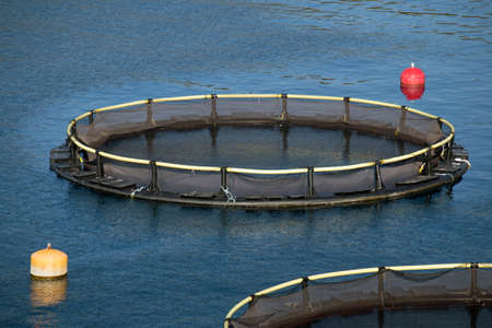 Rounded cages for breeding of sea bream and sea bass on fish farming in south east of island Brac in Croatiaの写真素材