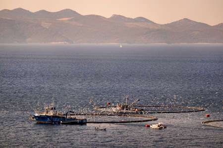 Two fishing boats feeding tuna in cages in fish farm in front of island Brac in Croatiaの写真素材