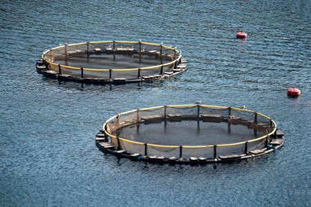 Rounded cages for breeding of sea bream and sea bass on fish farming in south east of island Brac in Croatiaの写真素材