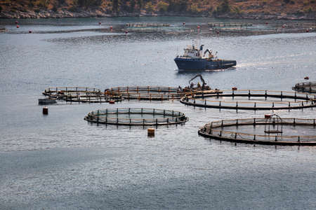 Fishing boat in fish farm in early morning on island Brac in Croatiaの写真素材