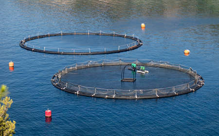 Rounded cages for breeding of sea bream and sea bass on fish farming in south east of island Brac in Croatiaの写真素材