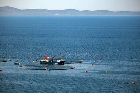 Fishing boat feeding tuna in cages in fish farm in front of island Brac in Croatiaの写真素材