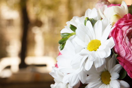 White Flowers in beautiful light with city scene on backgroundの写真素材