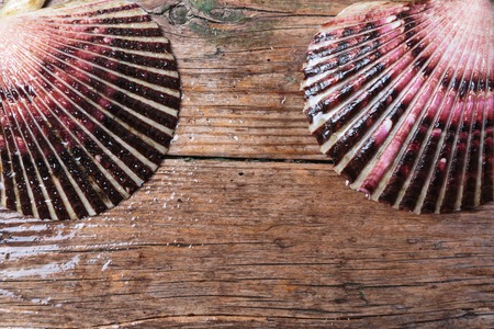 Wet scallop shells with drops on wooden backgroundの写真素材