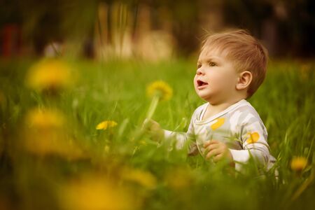 Concept: family values. Portrait of adorable innocent funny brown-eyed baby playing outdoor in the sunny dandelions field.の写真素材