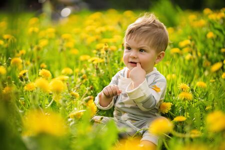 Concept: family values. Portrait of adorable innocent funny brown-eyed baby playing outdoor in the sunny dandelions field.の写真素材
