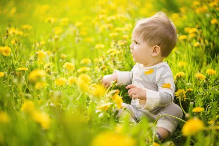 Concept: family values. Portrait of adorable innocent funny brown-eyed baby playing outdoor in the sunny dandelions field.の写真素材