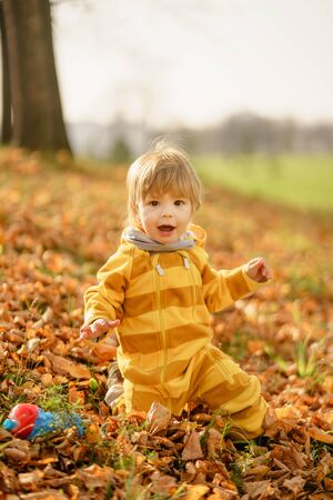 Concept: family, kids. Happy little child, baby boy laughing and playing in the autumn on the nature walk outdoors at parkの写真素材