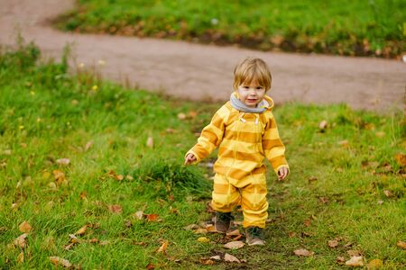 Concept: family, kids. Happy little child, baby boy laughing and playing in the autumn on the nature walk outdoors at parkの写真素材