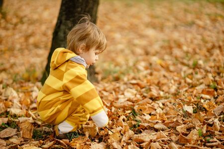 Concept: family, kids. Happy little child, baby boy laughing and playing in the autumn on the nature walk outdoors at parkの写真素材