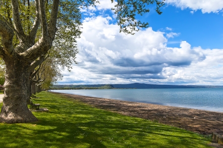 Lake Bolsenaの写真素材