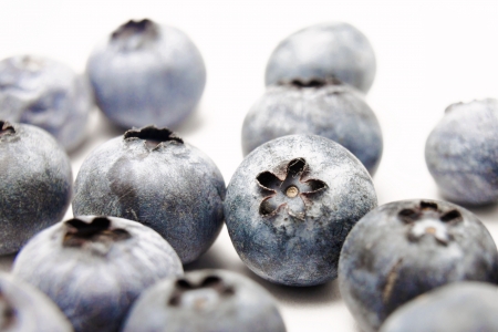 Blueberries - white backgroundの写真素材