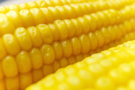 Corn cob details - macro viewの写真素材