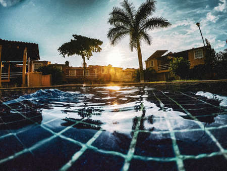 Palm trees reflecting on the surface of peaceful water during sundownの写真素材