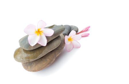 Plumeria flower on for spa relax on white background, frangipani opical flowerの写真素材