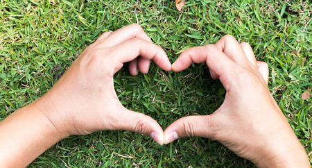 Closeup hand heart shaped on green grass for love conceptの写真素材