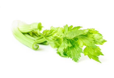 Fresh celery vegetable on white background, healthy food conceptの写真素材