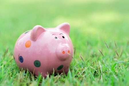 Piggy bank on green grass with sun light in the morning, select focusの写真素材