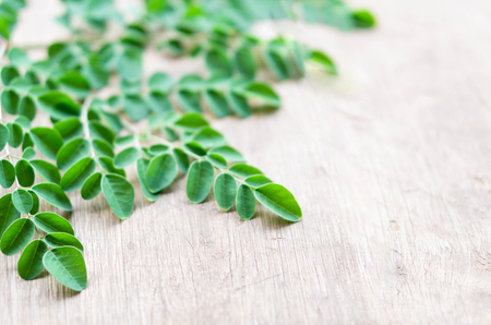Closeup top view moringa leaves branch, herb and medical conceptの写真素材