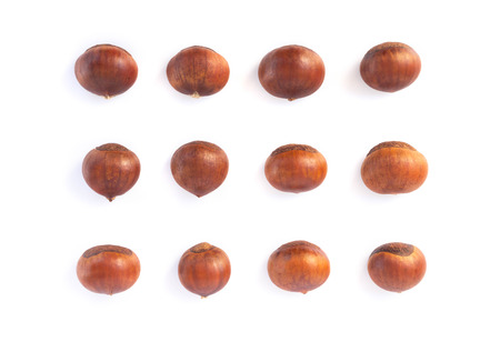 Closeup horse chestnuts isolated on white background,  healthy food conceptの写真素材