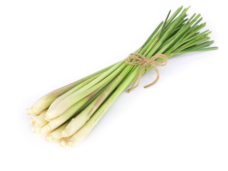 Lemon grass isolated on white background, herb and medical conceptの写真素材