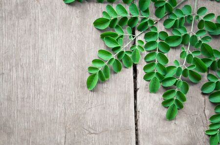 Closeup top view moringa leaves branch on wood background, herb and medical conceptの写真素材