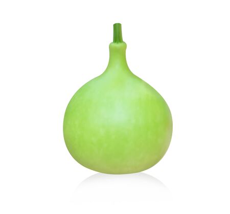 Close up green bottle gourd or calabash isolated on white background, selective focusの写真素材
