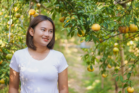 Closeup Woman Hand and Oranges in Farm with Beautiful field in morning.