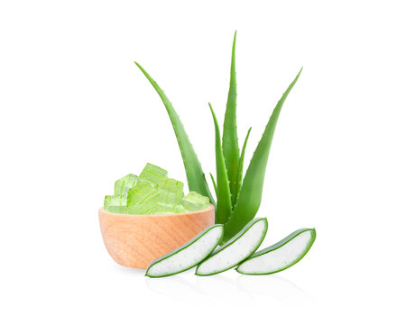 Aloe vera with slice isolated on white background, herb and medicalの写真素材