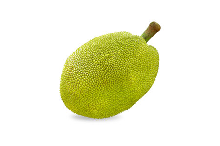 Closeup Jackfruit with isolated on white background