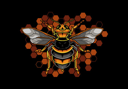 Bee Hexagon Illustration Vectorのイラスト素材
