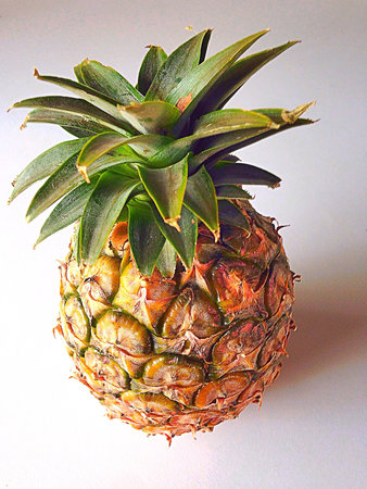 Pineapple on the white の素材