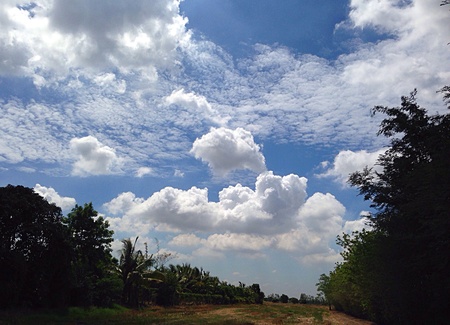 Cloudy in the skyの素材