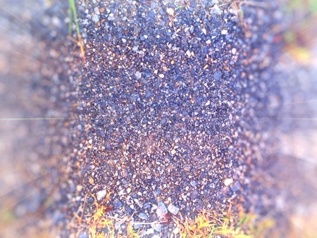 Road backgroundの素材