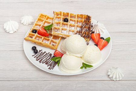 Chocolate Dessert with Ball Ice Cream and Wafflesの写真素材