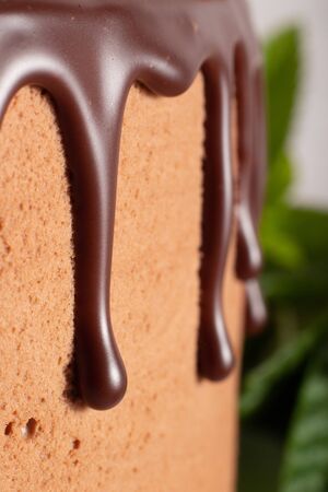 Mousse cake with profiteroles inside and strawberriesの写真素材
