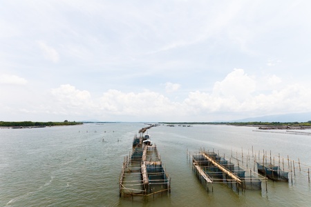 Cage fish farming in the river of thailandの写真素材