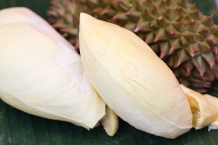 Durian fruit of thailand