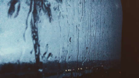 picture of raindrops on the window pane on a dark blue background and a palm tree.