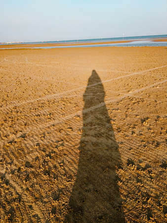 portrait of a person's shadow on the beach sand; taken during the day by the seaの写真素材
