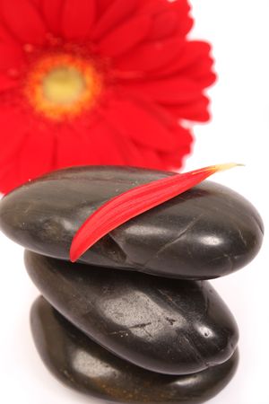 colored spa accesory isolated on white backgroundの写真素材