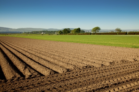 Rural sceneryの写真素材