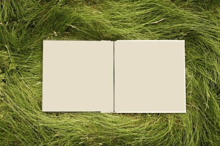 Blank opened book in the grassの写真素材