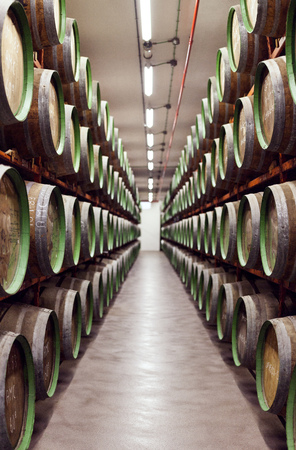 Wine cellarの写真素材