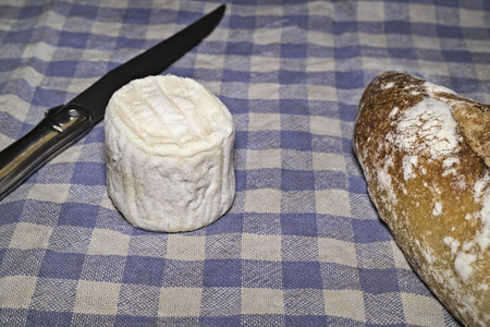 Goat cheeseの写真素材