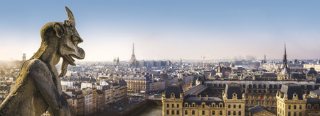 Panoramic view of Paris from Notre Dame de Paris Cathedralの写真素材